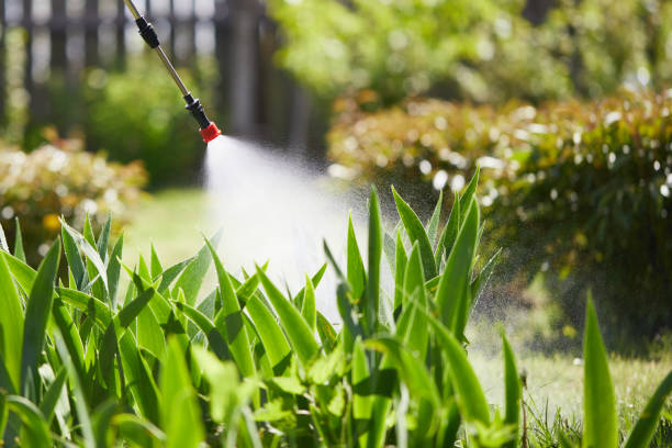 Tamper-Resistant Bait Stations for Rodents in River Ridge