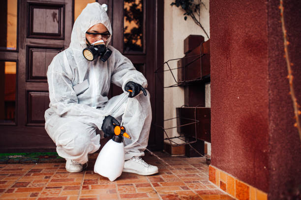 Attic and Crawl Space Rodent Treatment in River Ridge