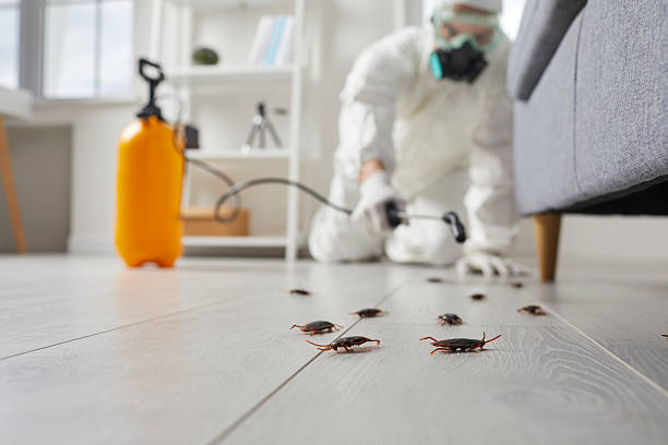 Commercial Rodent Management in River Ridge